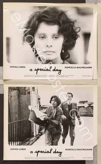 2y712 SPECIAL DAY 2 8x10 stills '77 close-up of Sophia Loren, Marcello Mastroianni!