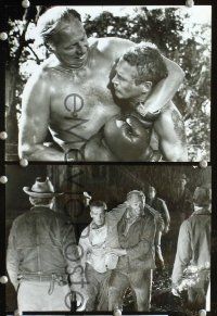 2y534 COOL HAND LUKE 3 8x10 stills '67 great images of Paul Newman, prison escape classic!
