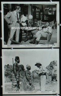 2y316 KING SOLOMON'S MINES 5 8x10 stills '50 Deborah Kerr & Stewart Granger in Africa!