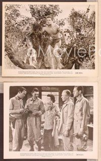 2y326 LOST VOLCANO 5 8x10 stills '50 Johnny Sheffield as Bomba the Jungle Boy, Marjorie Lord!