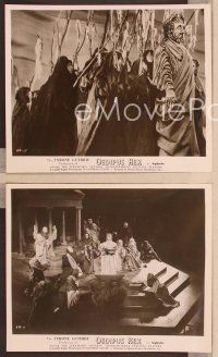 2y269 OEDIPUS REX 6 8x10 stills '57 really cool images of costumed actors!