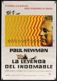 2z136 COOL HAND LUKE linen Argentinean R70s cool art of Paul Newman, prison escape classic!
