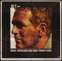 3a005 COOL HAND LUKE 6sh '67 incredible close up of Paul Newman, prison escape classic!