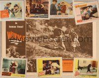 3e011 LOT OF 31 LOBBY CARDS lot '46 - '80 Wetbacks, Terror at Midnight, Lieutenant Wore Skirts+more!