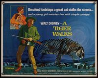 3f678 TIGER WALKS 1/2sh '64 Disney, cool artwork of Brian Keith standing by huge prowling tiger!