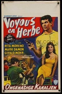 3j704 THIS REBEL BREED Belgian '60 art of Mark Damon & young Dyan Cannon!