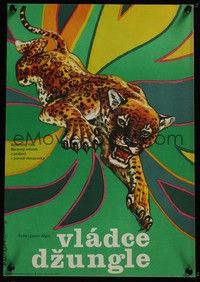 3j286 JUNGLE CAT Czech 11x16 '79 Disney, great artwork of jaguar, savage lord of the Amazon!