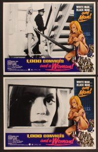 3p038 1000 CONVICTS & A WOMAN 8 LCs '71 sexy Alexandra Hay would take any man!