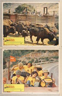 3p105 BLESS THE BEASTS & CHILDREN 8 LCs '71 Stanley Kramer, only one animal kills for sport!