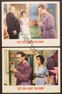 3p921 CAT ON A HOT TIN ROOF 3 LCs R66 Elizabeth Taylor as Maggie the Cat, Paul Newman!