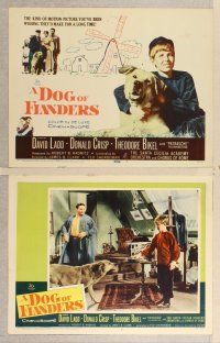 3p209 DOG OF FLANDERS 8 LCs '59 c/u title card image of David Ladd with his huge beloved dog!