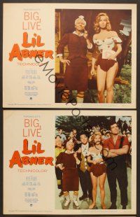 3p957 LI'L ABNER 3 LCs '59 sexy Julie Newmar, Peter Palmer, from Al Capp's comic!