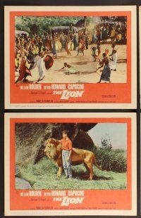 3p398 LION 8 LCs '63 cool images of William Holden, Trevor Howard & Capucine in Africa!