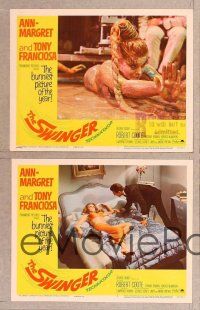 3p626 SWINGER 8 LCs '66 super sexy Ann-Margret, Tony Franciosa, the bunniest picture of the year!