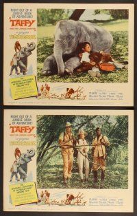 3p630 TAFFY & THE JUNGLE HUNTER 8 LCs '65 Jacques Bergerac, great images of boy with baby elephant!
