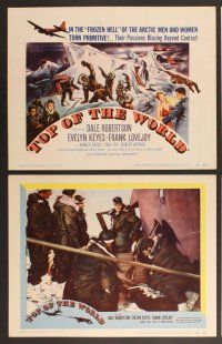 3p671 TOP OF THE WORLD 8 LCs '55 Dale Robertson & Evelyn Keyes trapped on a crumbling island of ice