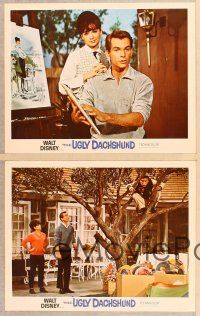 3p914 UGLY DACHSHUND 4 LCs '66 Walt Disney, Dean Jones & Suzanne Pleshette!