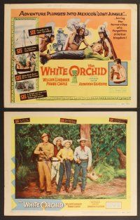 3p733 WHITE ORCHID 8 LCs '54 William Lundigan, Peggie Castle, wild art of tribesmen with woman!