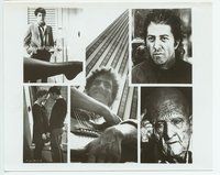 3r149 DUSTIN HOFFMAN 8x10 still '70s five great images from his best roles!