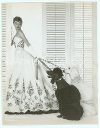 3r364 SABRINA 7.25x9.25 still '54 best image of Audrey Hepburn with her two giant poodles!
