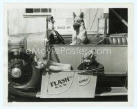 3r160 FLASH THE DOG 8x10 still '20s in car with sexy Dolores Brinkman in his sidecar by Grimes!