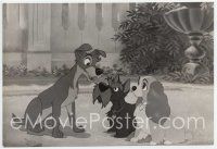 3r257 LADY & THE TRAMP 6x9 still '55 Walt Disney classic, Scotty between the title canines!