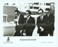 3r351 RESERVOIR DOGS 8x10 still '92 Quentin Tarantino, Harvey Keitel, Michael Madsen, Tim Roth