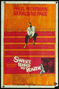 3t884 SWEET BIRD OF YOUTH 1sh '62 Paul Newman, Geraldine Page, from Tennessee Williams' play!