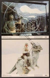 3v631 EMPIRE STRIKES BACK 2 color 11x14 stills '80 George Lucas sci-fi classic, Mark Hamill!