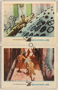 3v633 EXODUS 2 LCs '61 Otto Preminger, cool images of Paul Newman!