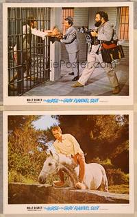 3v685 HORSE IN THE GRAY FLANNEL SUIT 2 LCs '69 Walt Disney, Dean Jones!