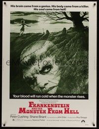 4b565 FRANKENSTEIN & THE MONSTER FROM HELL 30x40 '74 your blood will run cold when he rises!