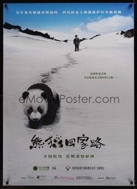 4b530 TRAIL OF THE PANDA Chinese '09 Disney, Yu Zhong's Xiong mao hui jia lu, great image!