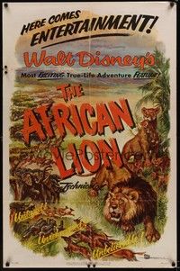 4d019 AFRICAN LION  1sh '55 Walt Disney jungle safari documentary, cool artwork!