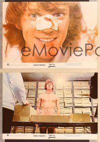 4e183 CLOCKWORK ORANGE 12 Spanish LCs '72 Stanley Kubrick classic, wild Malcolm McDowell!