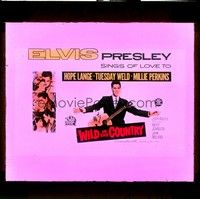 4f241 WILD IN THE COUNTRY Aust glass slide '61 different image of Elvis Presley with guitar!