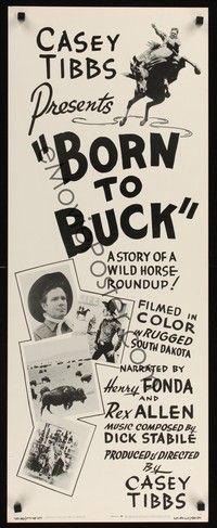 4h064 BORN TO BUCK insert '68 Casey Tibbs presents & directs, cool rodeo images!