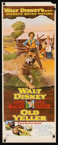 4h221 OLD YELLER insert '57 Dorothy McGuire, Fess Parker, Walt Disney's most classic canine!