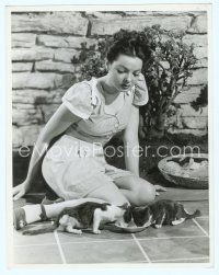 4j114 KATHRYN GRAYSON deluxe candid 10.25x13 still '46 watching kittens by Clarence Sinclair Bull!