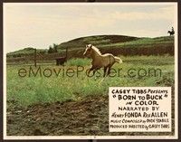 4k086 BORN TO BUCK LC #2 '68 Casey Tibbs presents & directs, cool image of wild horse in field!