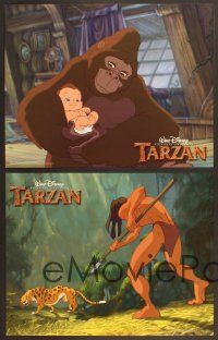 4m027 TARZAN 9 color 11x14 stills '99 cool Disney jungle cartoon, from Edgar Rice Burroughs story!