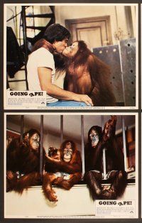 4m145 GOING APE 8 LCs '81 Jessica Walter, Tony Danza & Danny DeVito with orangutans!