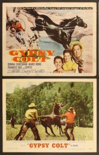 4m151 GYPSY COLT 8 LCs '54 Ward Bond, Frances Dee, young Donna Corcoran & wild stallion!