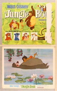 4m018 JUNGLE BOOK 9 LCs '67 Walt Disney cartoon classic, great images of all characters!