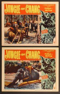 4m197 JUNGLE OF CHANG 8 LCs '51 Man och Kvinna, filmed midst the perils of wildest Siam!