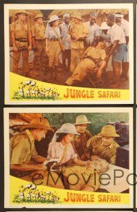 4m574 JUNGLE SAFARI 5 LCs '56 Ruth Roman, Edward Norris, tropical terror in wildest Africa!