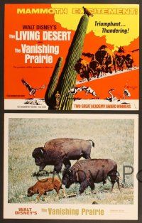 4m021 LIVING DESERT/VANISHING PRAIRIE 9 LCs '71 Walt Disney wildlife double-bill!
