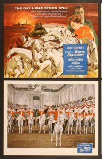 4m247 MIRACLE OF THE WHITE STALLIONS 8 LCs '63 Walt Disney, Curt Jurgens, Eddie Albert!