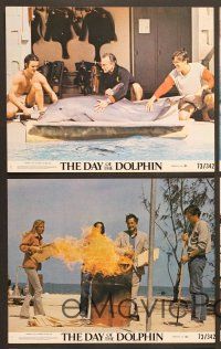 4p212 DAY OF THE DOLPHIN 5 8x10 mini LCs '73 George C. Scott, Trish Van Devere, Mike Nichols!