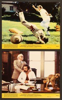 4p059 END 8 8x10 mini LCs '78 great images of wacky Burt Reynolds & Dom DeLuise!